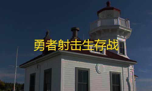 暗区突围免费参数勇者射击生存战